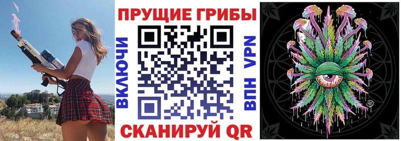 Псилоцибиновые грибы мицелий  blacksprut ТОР  Елизово  наркота 